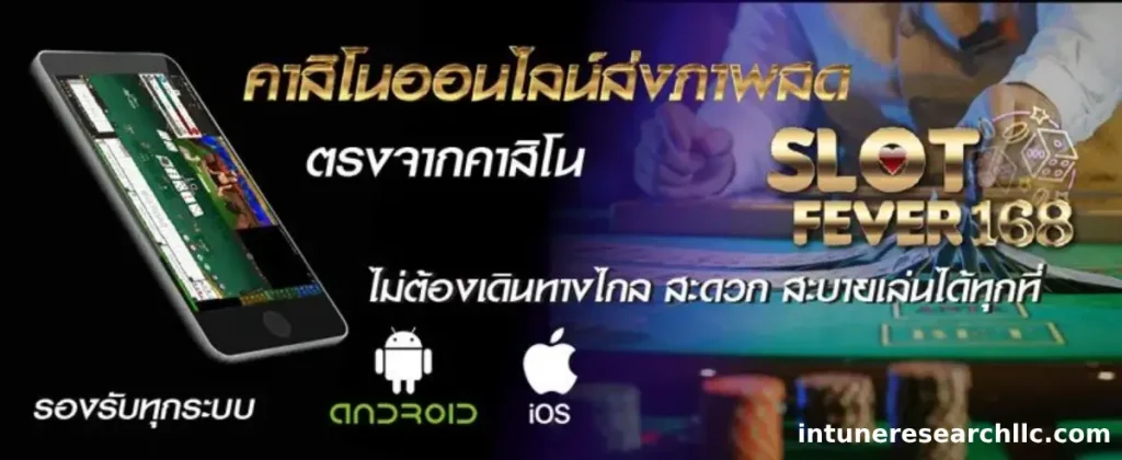 รีวิว fever168 จากผู้ใช้งานจริง